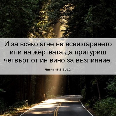 Picture 06 - Числа 15:5 BULG - И за всяко агне на - Bible Verse Picture