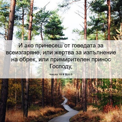 Picture 06 - Числа 15:8 BULG - И ако принесеш от говедата - Bible Verse Picture