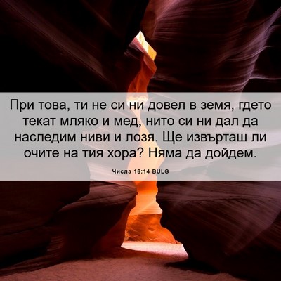 Picture 06 - Числа 16:14 BULG - При това, ти не си ни довел - Bible Verse Picture