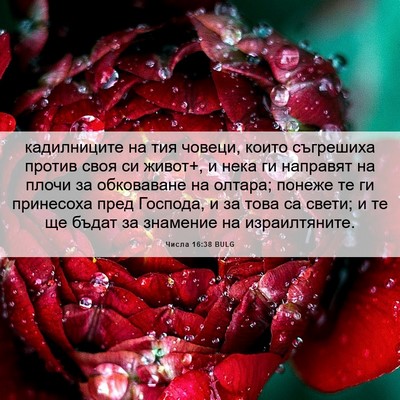 Picture 06 - Числа 16:38 BULG - кадилниците на тия човеци, - Bible Verse Picture