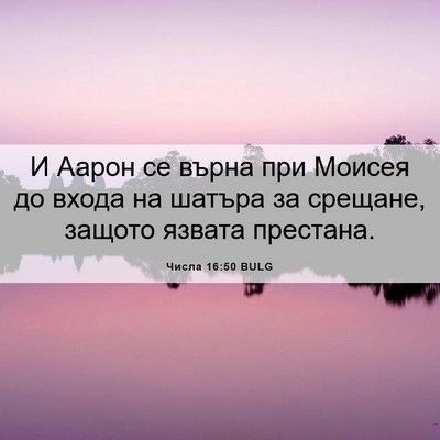 Picture 06 - Числа 16:50 BULG - И Аарон се върна при Моисея - Bible Verse Picture