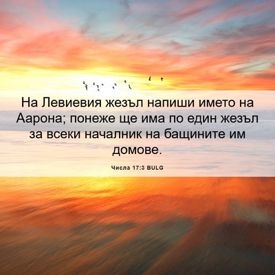 Picture 06 - Числа 17:3 BULG - На Левиевия жезъл напиши - Bible Verse Picture