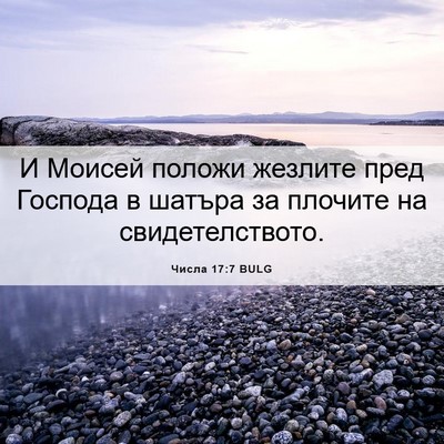 Picture 06 - Числа 17:7 BULG - И Моисей положи жезлите - Bible Verse Picture