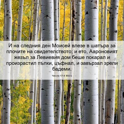 Picture 06 - Числа 17:8 BULG - И на следния ден Моисей - Bible Verse Picture