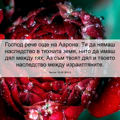 Picture 06 - Числа 18:20 BULG - Господ рече още на Аарона: - Bible Verse Picture