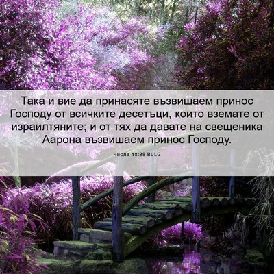 Picture 06 - Числа 18:28 BULG - Така и вие да принасяте - Bible Verse Picture