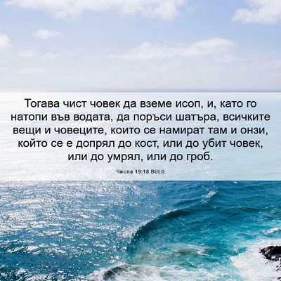 Picture 06 - Числа 19:18 BULG - Тогава чист човек да вземе - Bible Verse Picture
