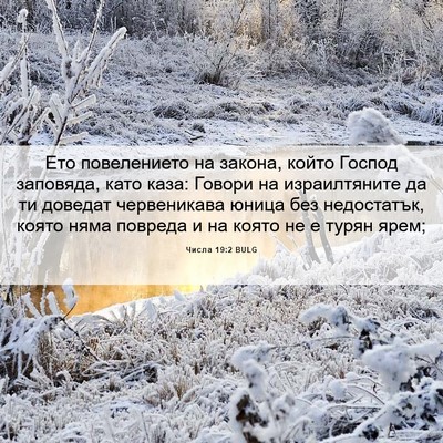 Picture 06 - Числа 19:2 BULG - Ето повелението на закона, - Bible Verse Picture