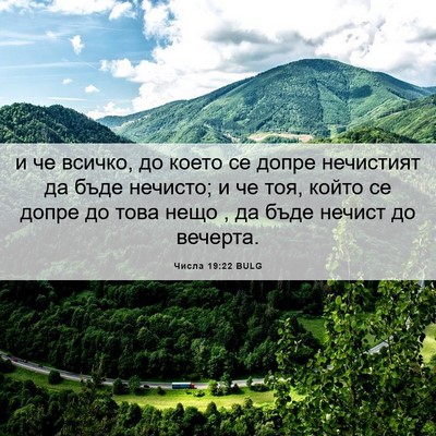 Picture 06 - Числа 19:22 BULG - и че всичко, до което се - Bible Verse Picture