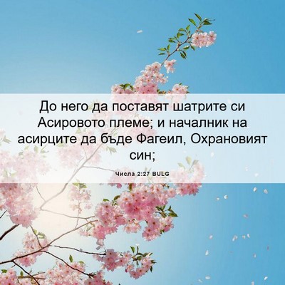 Picture 06 - Числа 2:27 BULG - До него да поставят - Bible Verse Picture