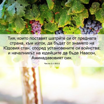 Picture 06 - Числа 2:3 BULG - Тия, които поставят - Bible Verse Picture