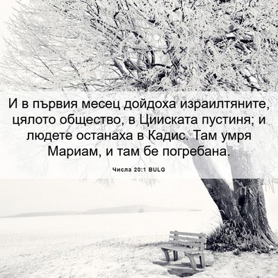 Picture 06 - Числа 20:1 BULG - И в първия месец дойдоха - Bible Verse Picture