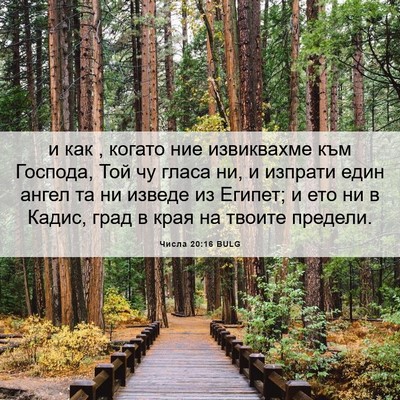 Picture 06 - Числа 20:16 BULG - и как , когато ние - Bible Verse Picture