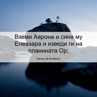 Picture 06 - Числа 20:25 BULG - Вземи Аарона и сина му - Bible Verse Picture