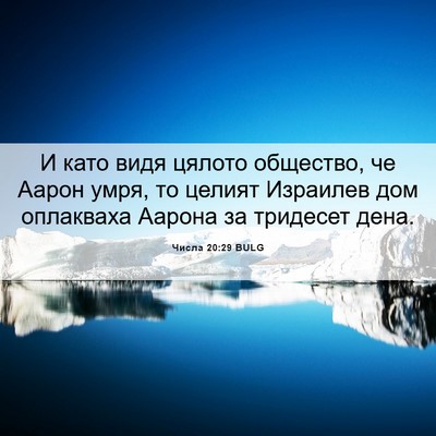 Picture 06 - Числа 20:29 BULG - И като видя цялото - Bible Verse Picture