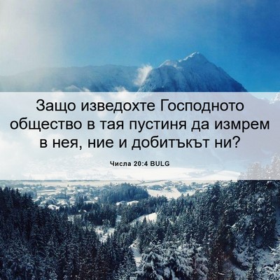 Picture 06 - Числа 20:4 BULG - Защо изведохте Господното - Bible Verse Picture
