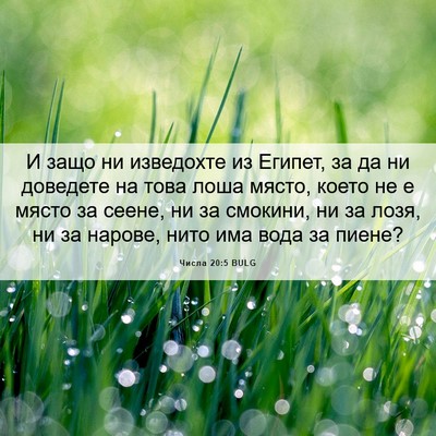 Picture 06 - Числа 20:5 BULG - И защо ни изведохте из - Bible Verse Picture