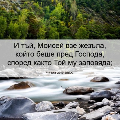 Picture 06 - Числа 20:9 BULG - И тъй, Моисей взе жезъла, - Bible Verse Picture