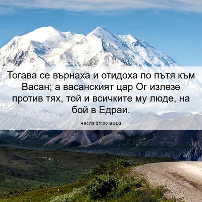 Picture 06 - Числа 21:33 BULG - Тогава се върнаха и - Bible Verse Picture