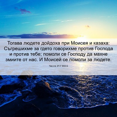 Picture 06 - Числа 21:7 BULG - Тогава людете дойдоха при - Bible Verse Picture