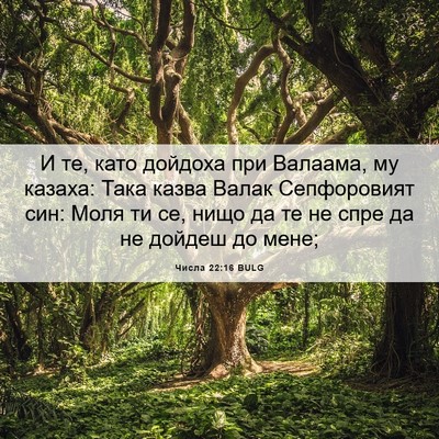 Picture 06 - Числа 22:16 BULG - И те, като дойдоха при - Bible Verse Picture