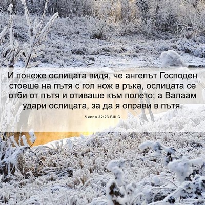 Picture 06 - Числа 22:23 BULG - И понеже ослицата видя, че - Bible Verse Picture