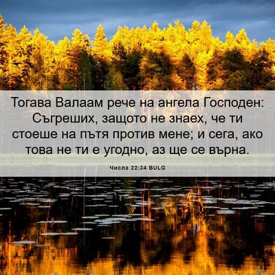 Picture 06 - Числа 22:34 BULG - Тогава Валаам рече на - Bible Verse Picture
