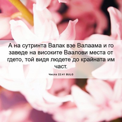 Picture 06 - Числа 22:41 BULG - А на сутринта Валак взе - Bible Verse Picture