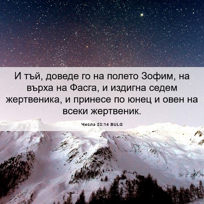 Picture 06 - Числа 23:14 BULG - И тъй, доведе го на полето - Bible Verse Picture