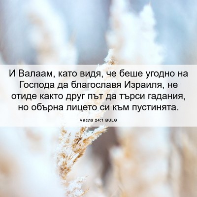 Picture 06 - Числа 24:1 BULG - И Валаам, като видя, че беше - Bible Verse Picture