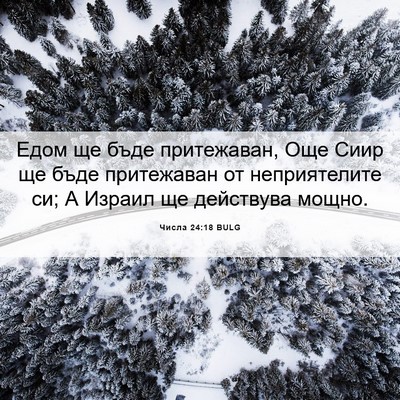 Picture 06 - Числа 24:18 BULG - Едом ще бъде притежаван, - Bible Verse Picture