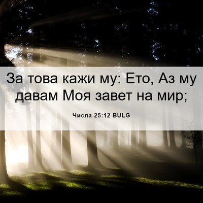 Picture 06 - Числа 25:12 BULG - За това кажи му: Ето, Аз му - Bible Verse Picture