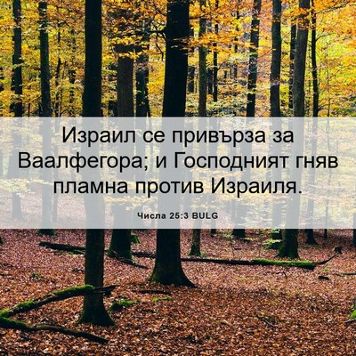 Picture 06 - Числа 25:3 BULG - Израил се привърза за - Bible Verse Picture