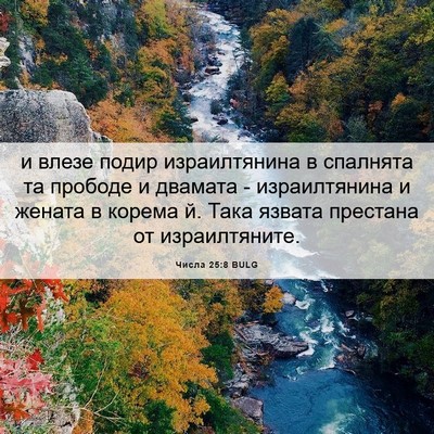 Picture 06 - Числа 25:8 BULG - и влезе подир израилтянина - Bible Verse Picture