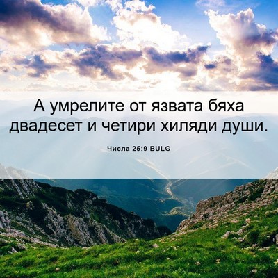 Picture 06 - Числа 25:9 BULG - А умрелите от язвата бяха - Bible Verse Picture