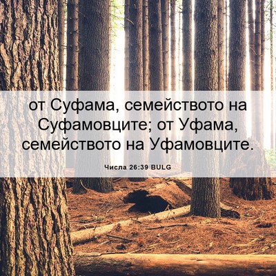 Picture 06 - Числа 26:39 BULG - от Суфама, семейството на - Bible Verse Picture