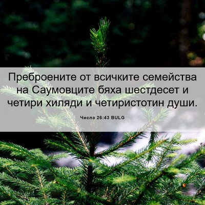 Picture 06 - Числа 26:43 BULG - Преброените от всичките - Bible Verse Picture