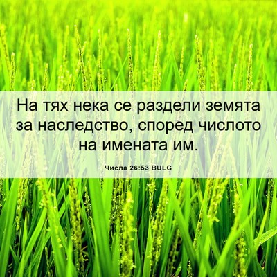 Picture 06 - Числа 26:53 BULG - На тях нека се раздели - Bible Verse Picture