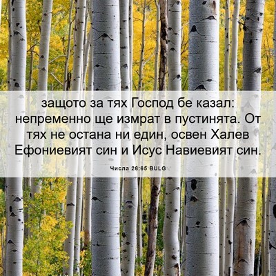 Picture 06 - Числа 26:65 BULG - защото за тях Господ бе - Bible Verse Picture