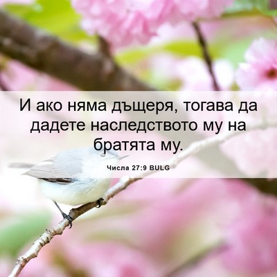 Picture 06 - Числа 27:9 BULG - И ако няма дъщеря, тогава - Bible Verse Picture