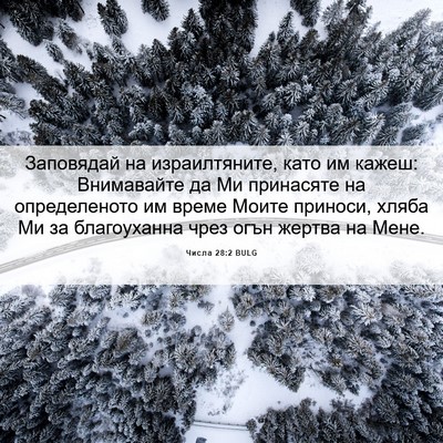 Picture 06 - Числа 28:2 BULG - Заповядай на израилтяните, - Bible Verse Picture