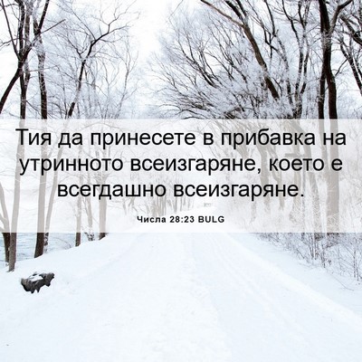 Picture 06 - Числа 28:23 BULG - Тия да принесете в - Bible Verse Picture