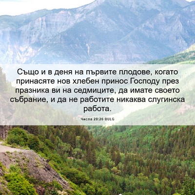 Picture 06 - Числа 28:26 BULG - Също и в деня на първите - Bible Verse Picture