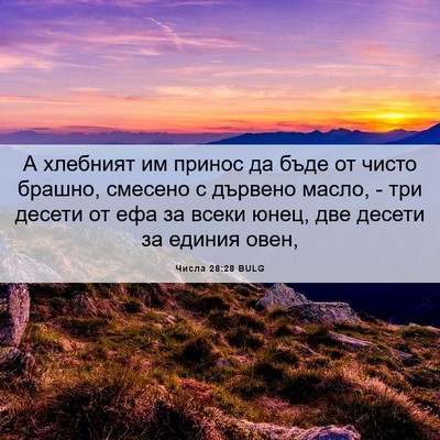 Picture 06 - Числа 28:28 BULG - А хлебният им принос да - Bible Verse Picture