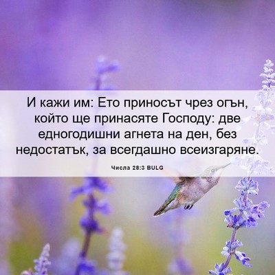 Picture 06 - Числа 28:3 BULG - И кажи им: Ето приносът - Bible Verse Picture