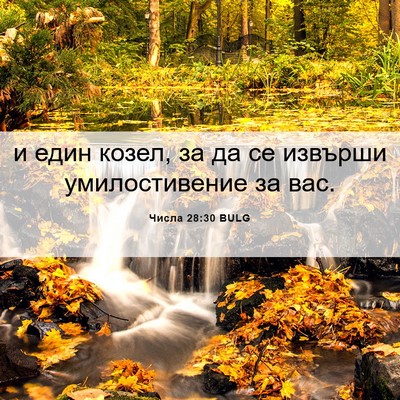 Picture 06 - Числа 28:30 BULG - и един козел, за да се - Bible Verse Picture