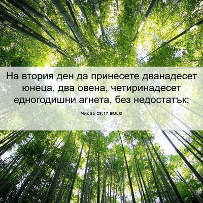 Picture 06 - Числа 29:17 BULG - На втория ден да принесете - Bible Verse Picture