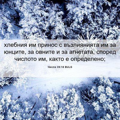 Picture 06 - Числа 29:18 BULG - хлебния им принос с - Bible Verse Picture