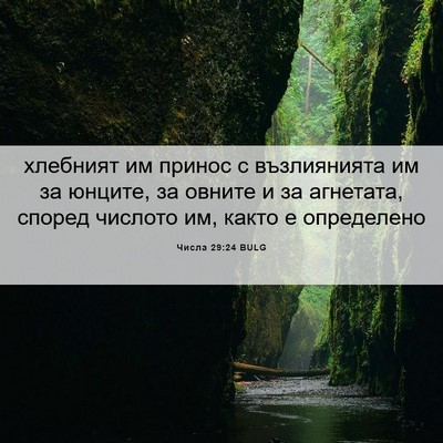 Picture 06 - Числа 29:24 BULG - хлебният им принос с - Bible Verse Picture