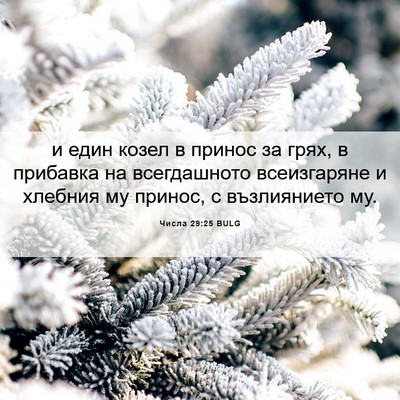 Picture 06 - Числа 29:25 BULG - и един козел в принос за - Bible Verse Picture